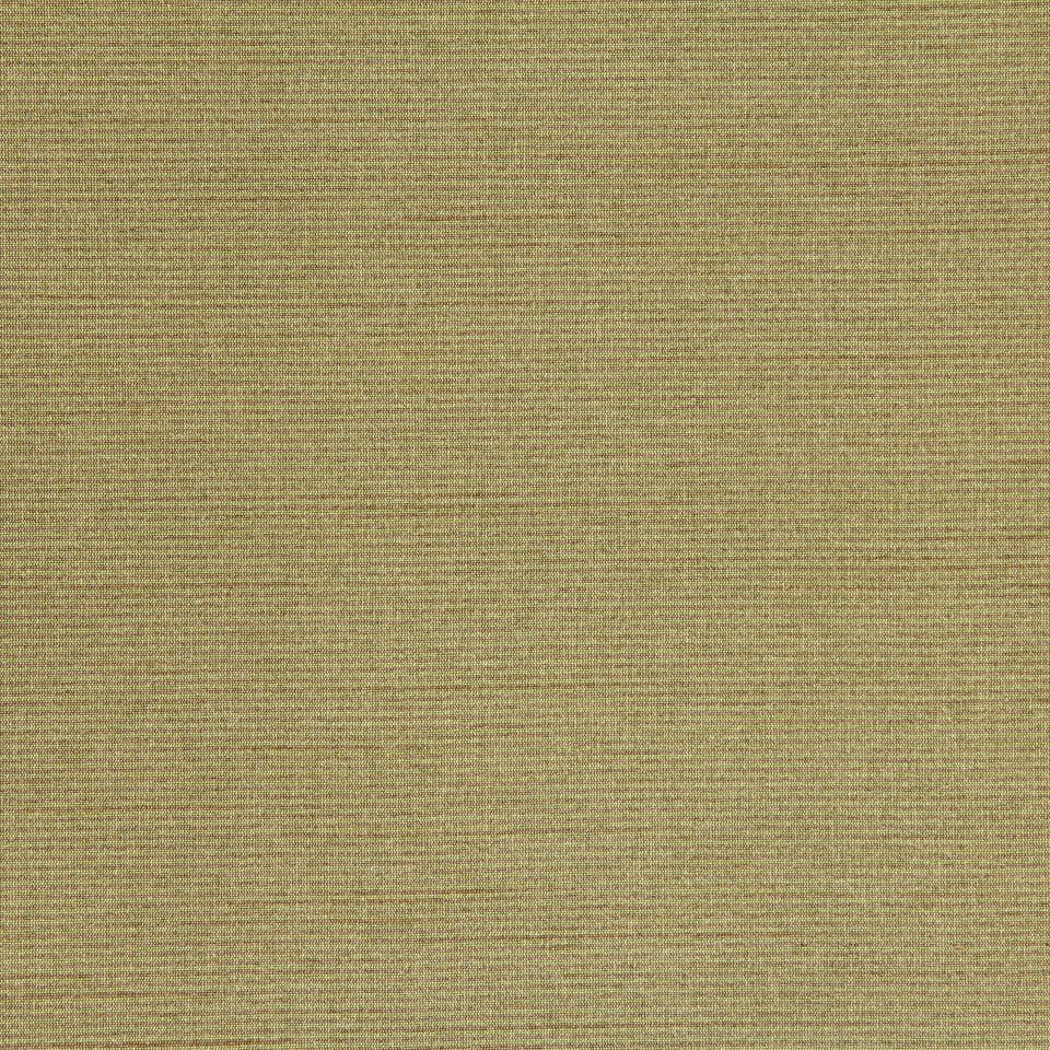 WINNING WAYS II | APPLE - Multi-purpose