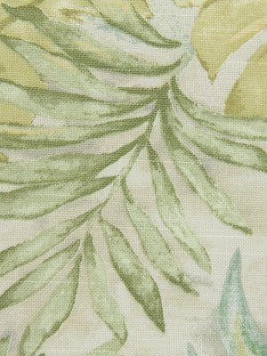 MONSOON LEAF | ALOE - Multi-purpose
