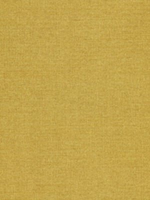 TRAMORE II | GOLD - Multi-purpose