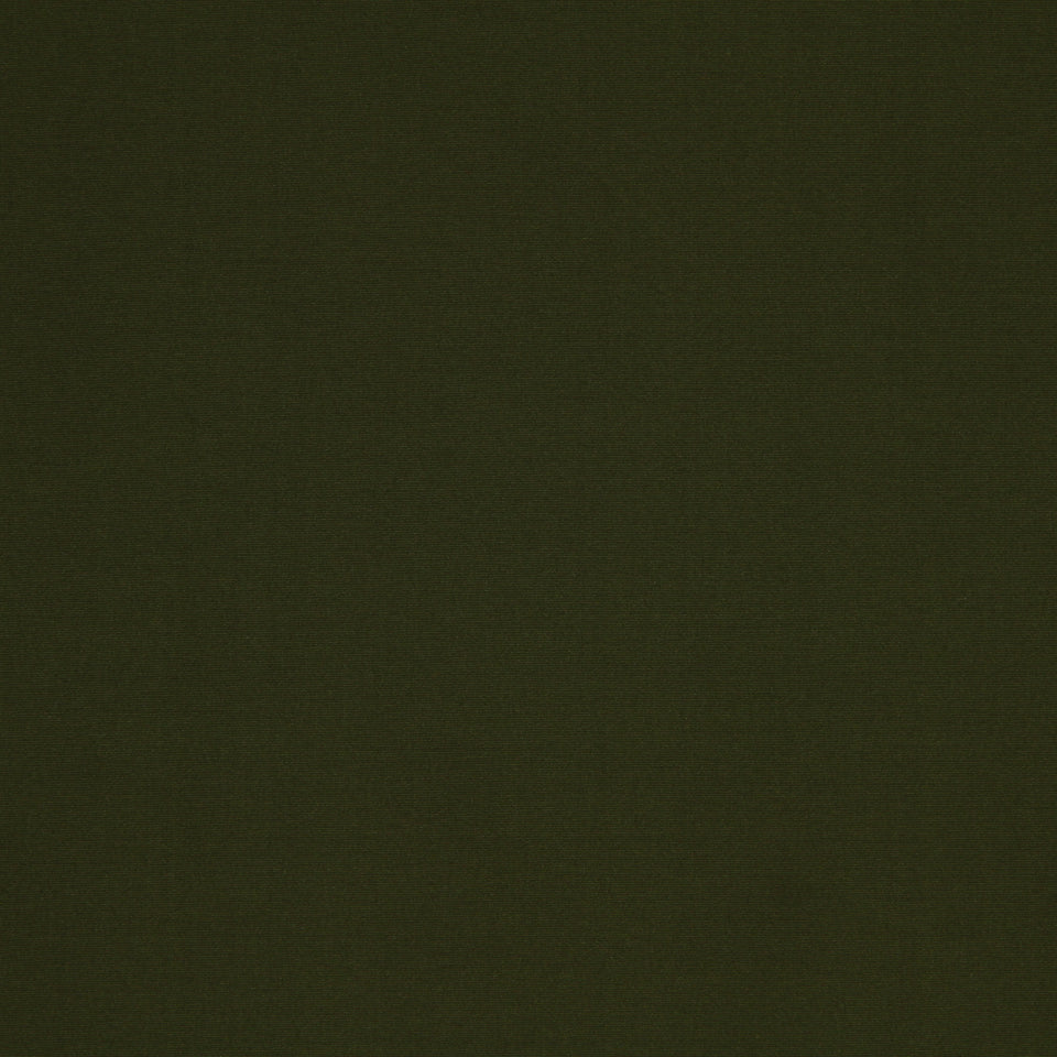 VINETTA | FERN