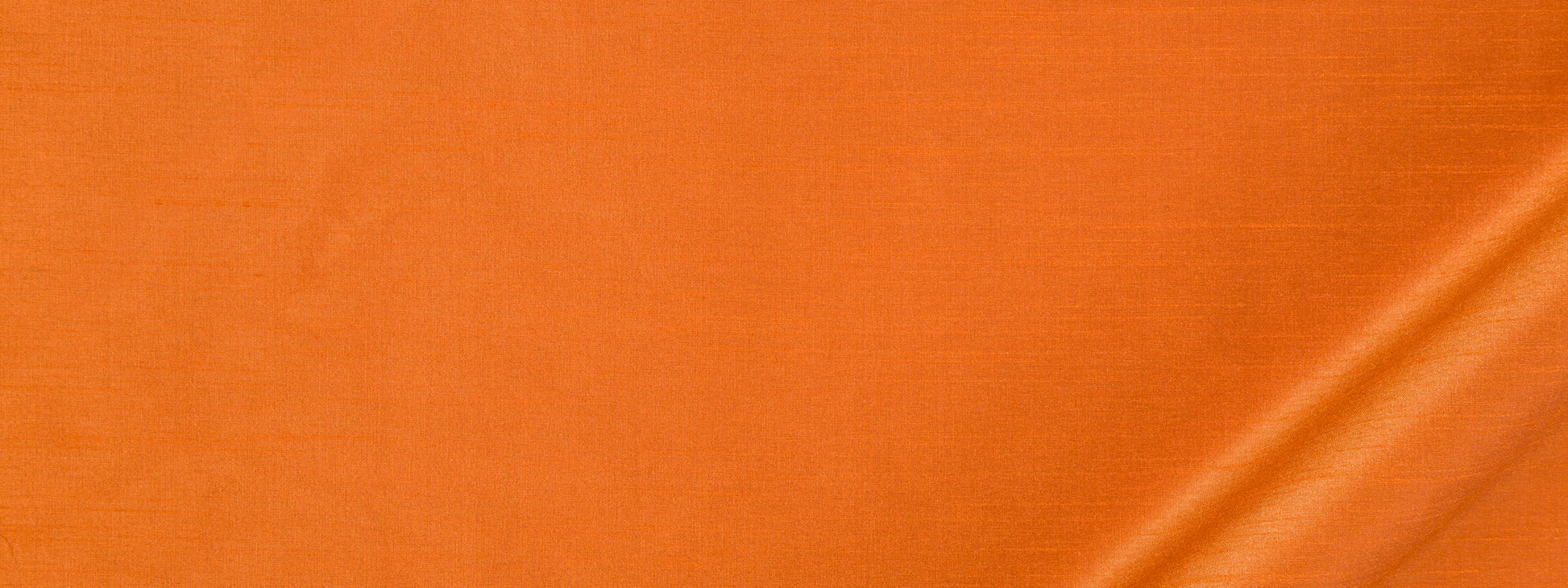 TRAMORE II | NECTARINE