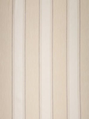 VINTAGE STRIPE | PARCHMENT - Multi-purpose
