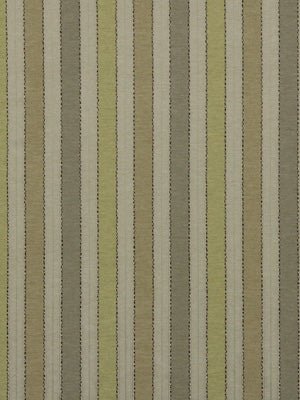 LASTING LINES | GREEN APPLE - Drapery - Fabric
