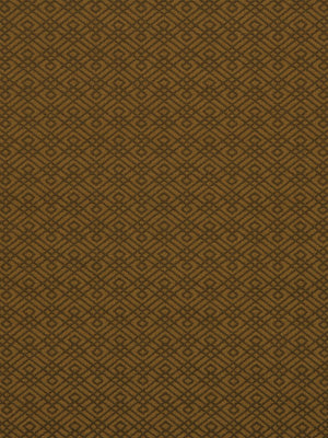 WALKING MAZE | OCHRE