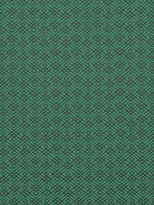 WALKING MAZE | AQUATIC