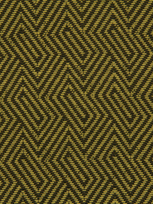 OPTICAL FACET | CACTUS