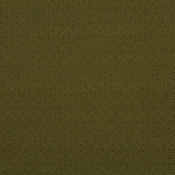 OPTICAL FACET | CACTUS