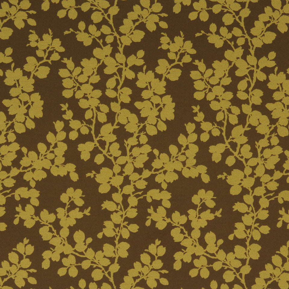 APPLE TREE | PEAR