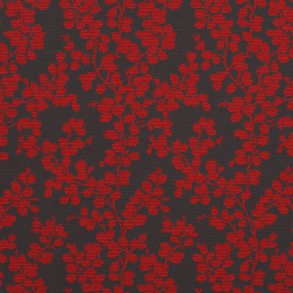 APPLE TREE | POMODORO