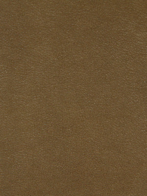 BLAKE | BUCKWHEAT