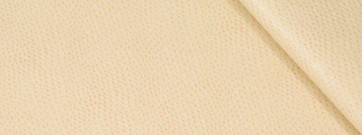 DONGARY | WHEAT - Upholstery - Fabric