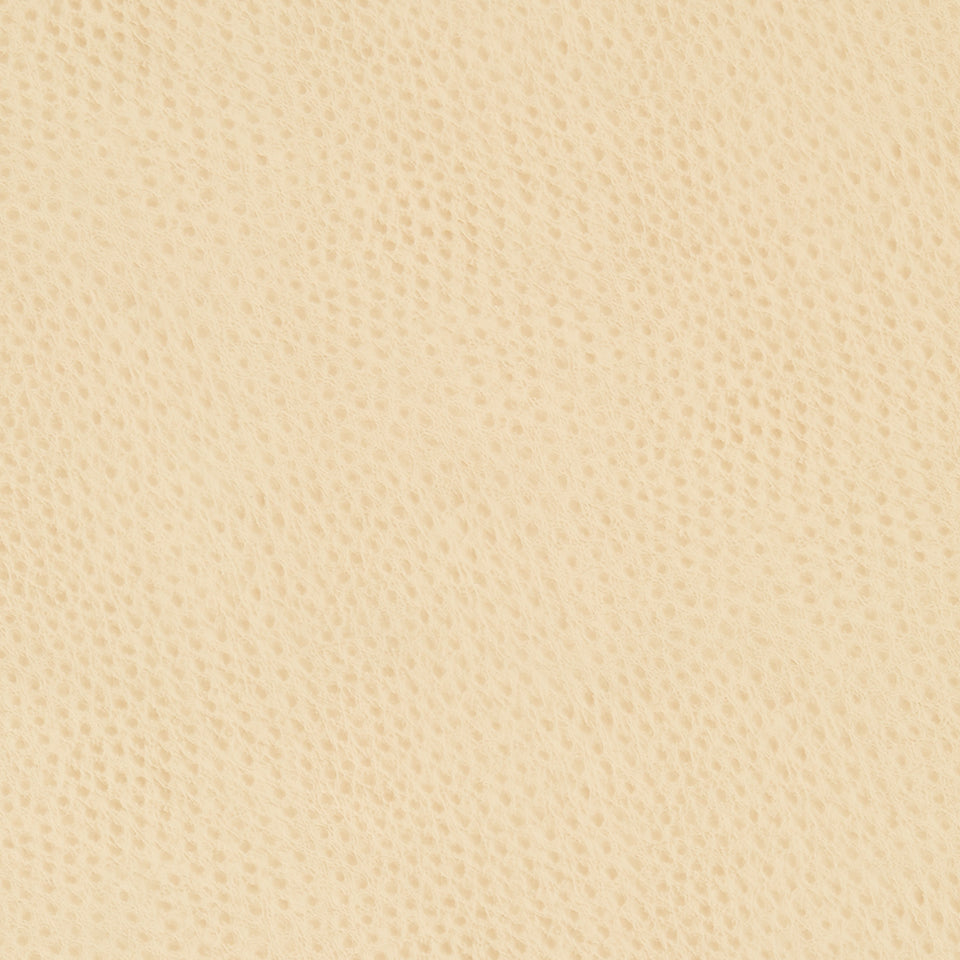 DONGARY | WHEAT