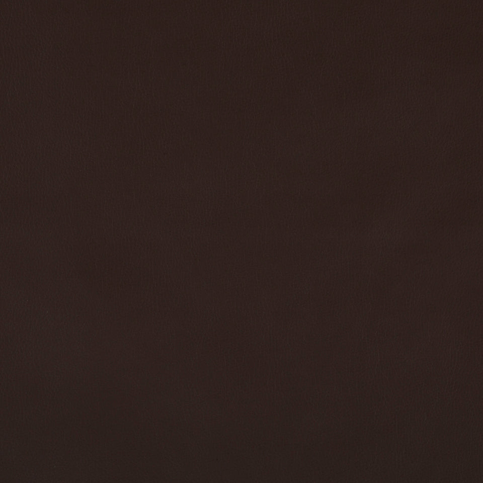 SPLASH | CHESTNUT