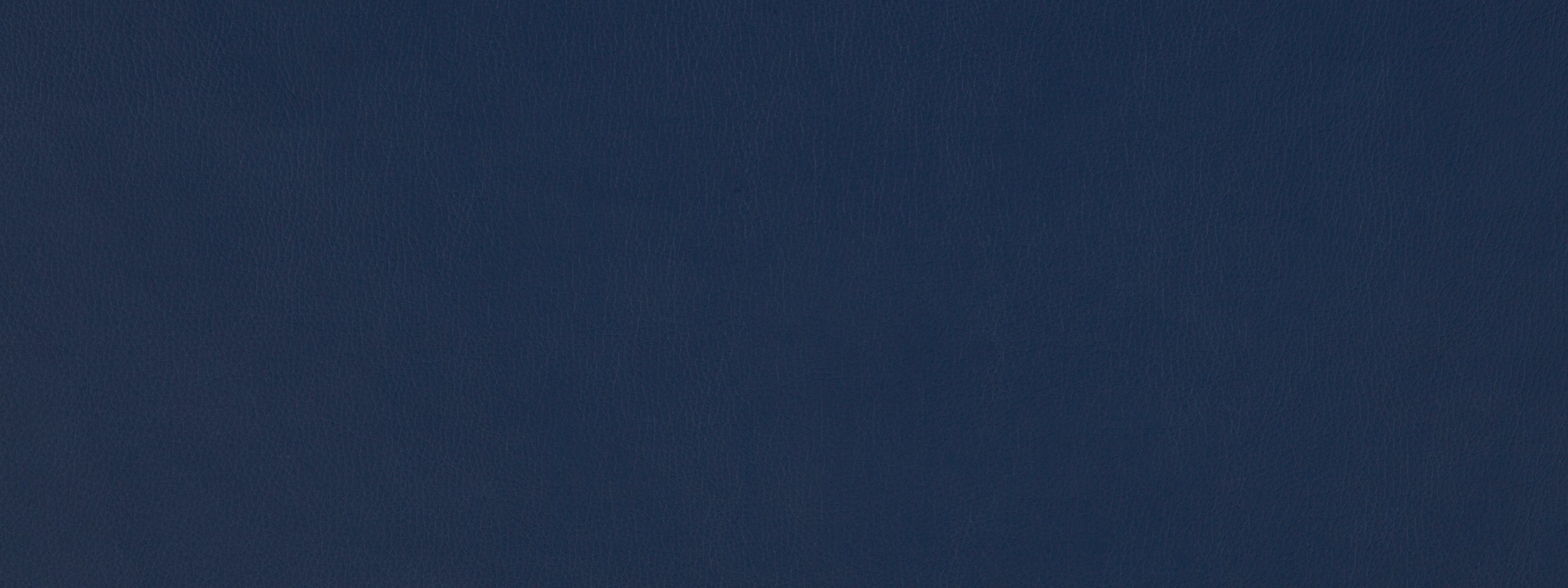 SPLASH | NAVY