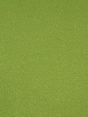 SPLASH | KEY LIME - Upholstery - Fabric