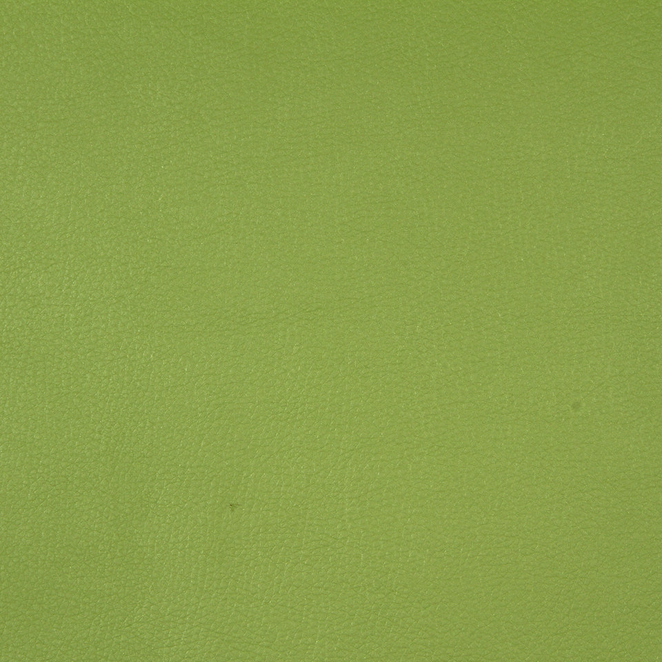SPLASH | KEY LIME