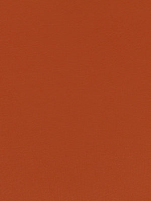 SPLASH | NECTARINE