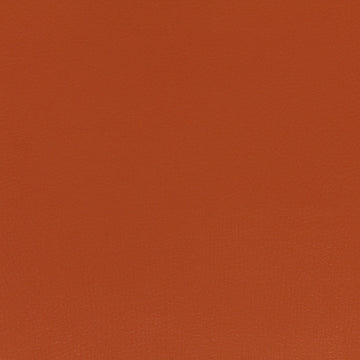 SPLASH | NECTARINE