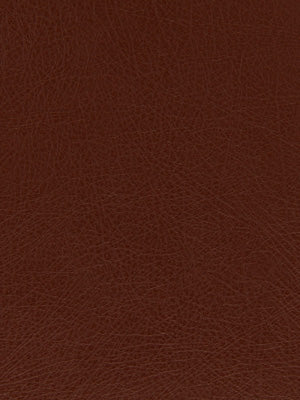 BRUTUS | MAHOGANY