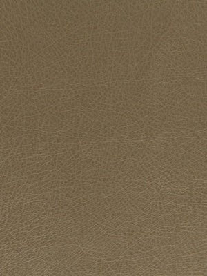 BRUTUS | MOCHA - Upholstery - Fabric