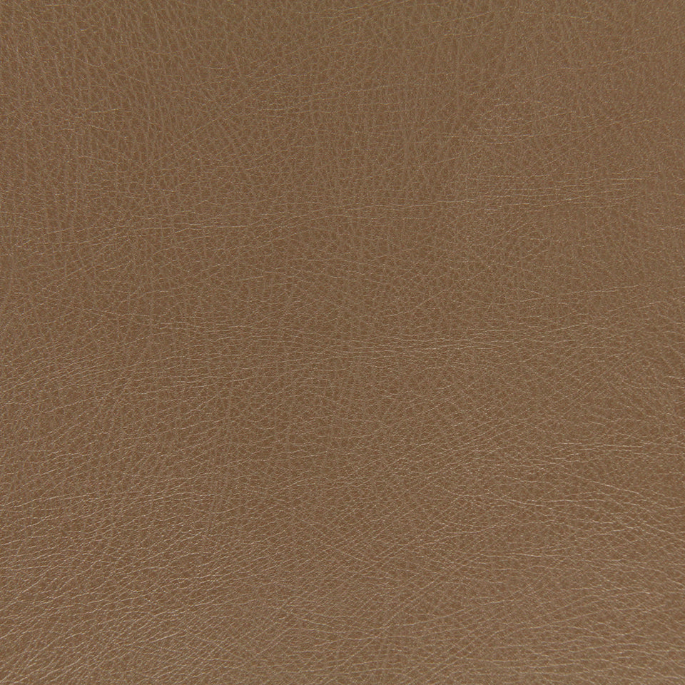 BRUTUS | MOCHA
