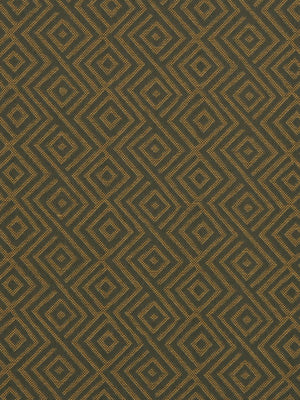 GILA MOUNTAIN | MUSTARD