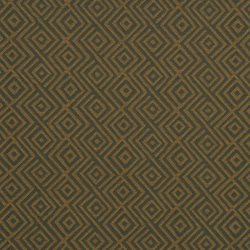 GILA MOUNTAIN | MUSTARD