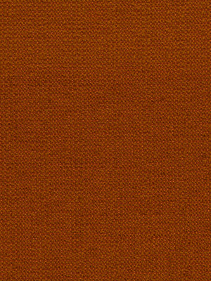 BOUCLE SOLID | PUMPKIN