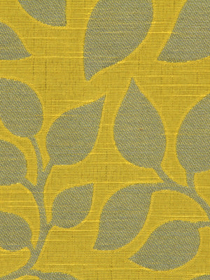 SWAYING VINE | MIDORI