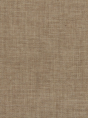 Duotone Linen | Toffee