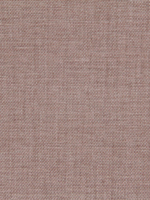 Duotone Linen | Blush