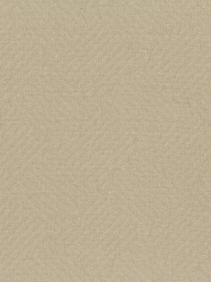JALI LATTICE | AMBER