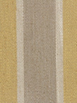 SHIFTED STRIPE | CITRINE - Multi-purpose