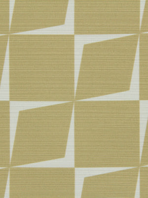 STONE FIELD | 502-CAMEL
