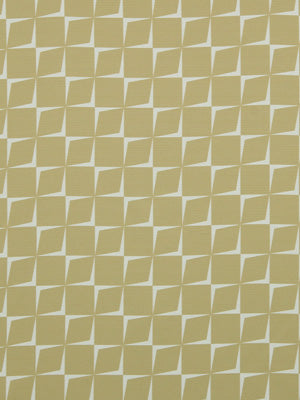 STONE FIELD | 502-CAMEL
