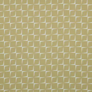 STONE FIELD | 502-CAMEL