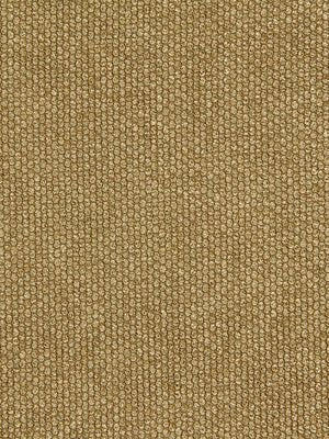 EYE SHADOW | CORK - Multi-purpose