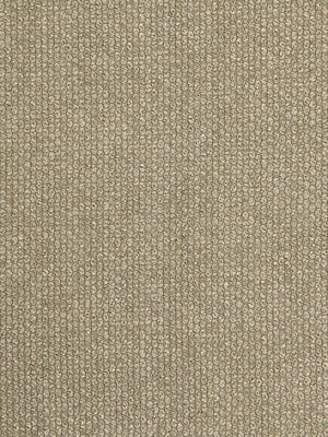 EYE SHADOW | BIRCH - Multi-purpose