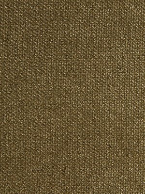 EYE SHADOW | CARAMEL - Multi-purpose