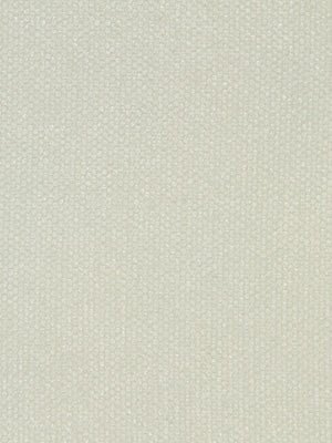 EYE SHADOW | SNOW - Multi-purpose