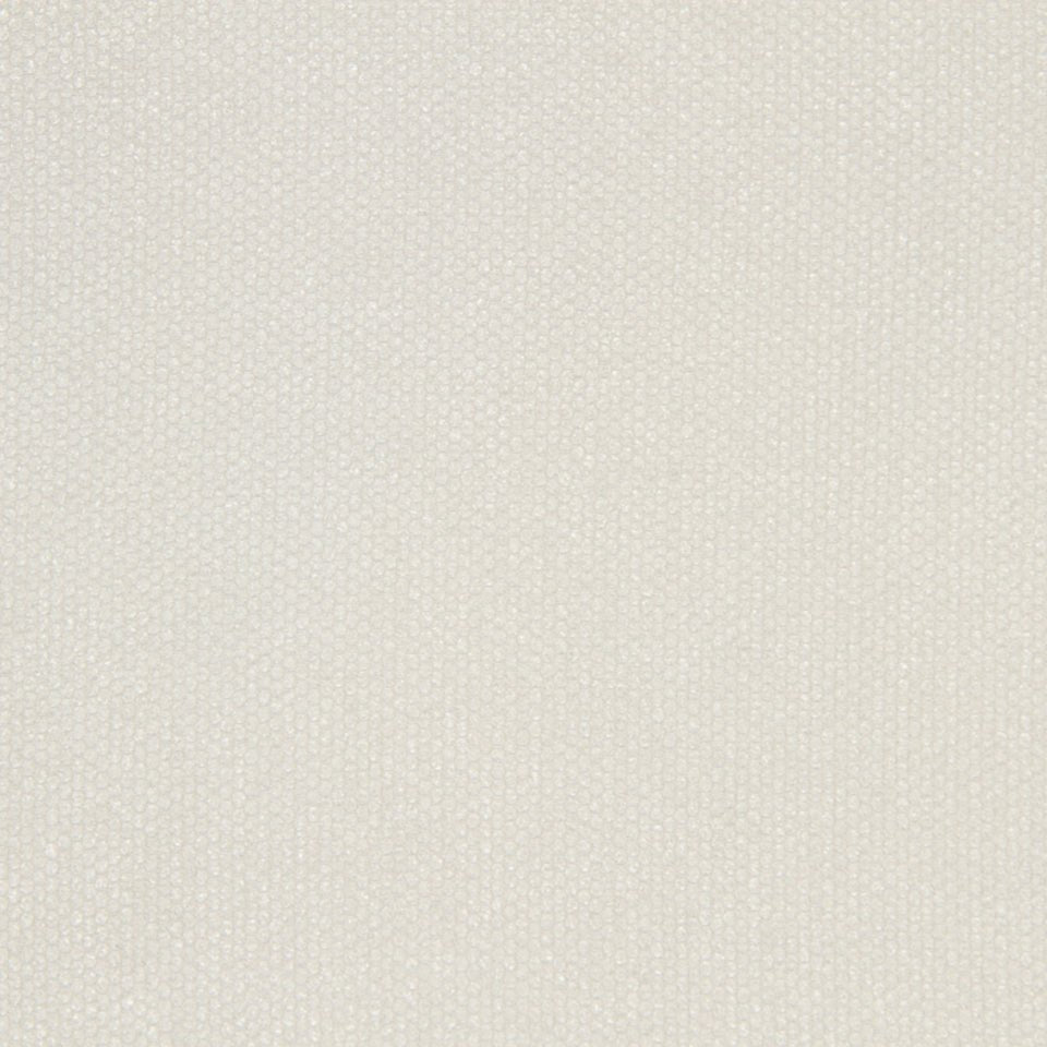 EYE SHADOW | SNOW - Multi-purpose