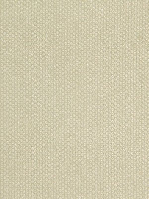 EYE SHADOW | CHAMPAGNE - Multi-purpose