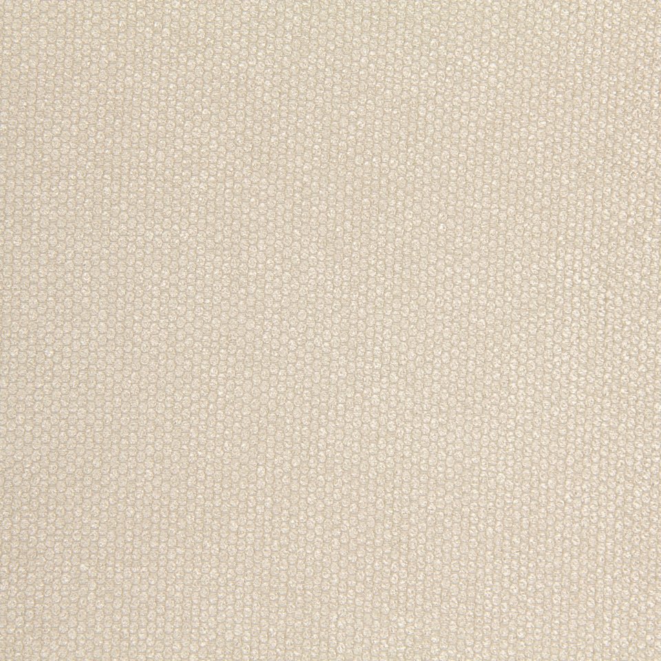 EYE SHADOW | CHAMPAGNE - Multi-purpose