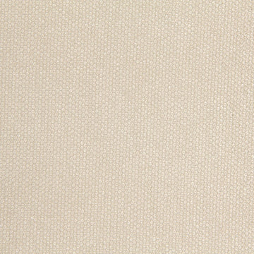 EYE SHADOW | CHAMPAGNE - Multi-purpose