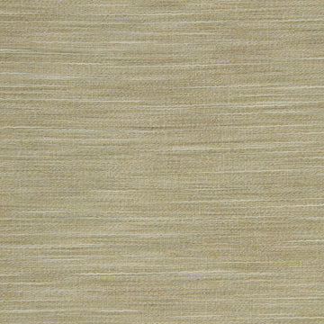 BALLINBOGLE | LIME - Multi-purpose