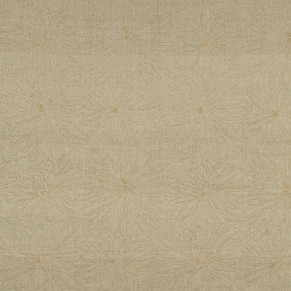 LINE FLOWER | HONEY