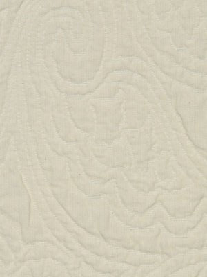 TRACING NATURE | ALABASTER - Multi-purpose