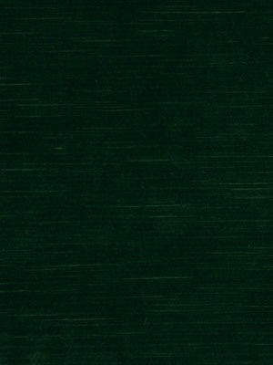 SOFT VELVET | EVERGREEN