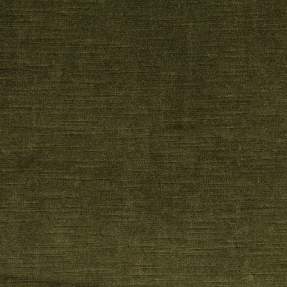 SAVOY | THYME