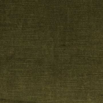 SAVOY | THYME